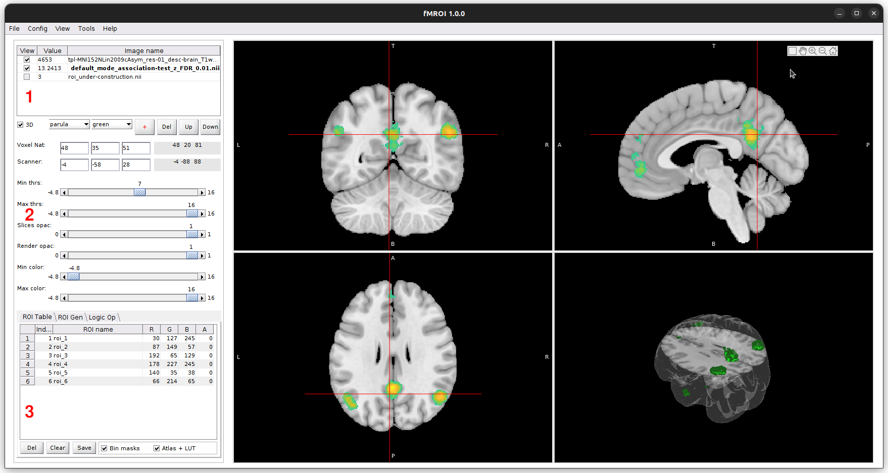 fMROI Graphical User Interface
